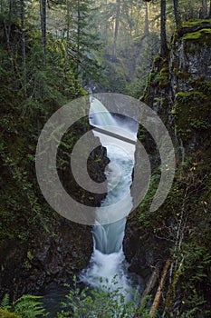 Little Qualicum Provincial Park, Parksville, Qualicum, British C