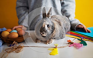 Little rabbit with a basket with decorated egg - Easter card