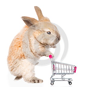 Little rabbit with shopping trolley. isolated on white background