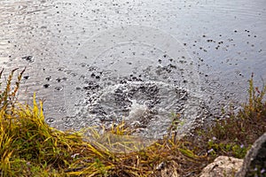 Little rain droplets on a lake after rock thrown