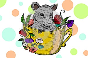 Little rat in a cup. Hand drawn illustration.