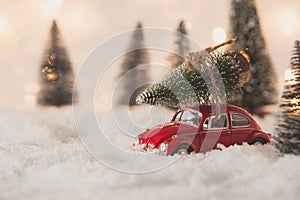 Little red car toy carrying Christmas tree