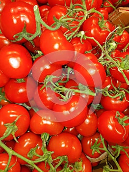 Little red cherry tomatoes nature background