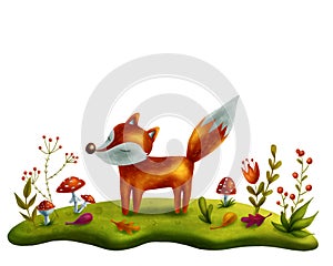 Little red fox