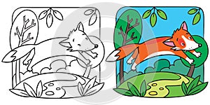 Little red fox coloring book