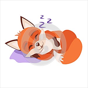 Little red fox is sleeping sweet