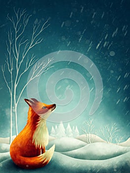 Little red fox in winter
