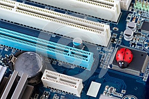 Little red ladybug on a blue motherboard. Concept of computer virus or bug, system failure, problem with technology, software