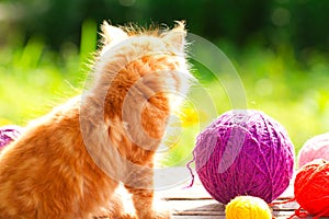 Little red playful kitten with a wool of thread on the outdoors