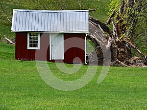 Little Red Shed