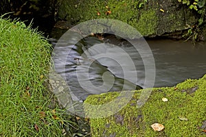 Little rippling brook