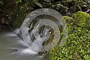 Little rippling brook