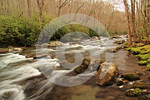 Little River in Great Smokey Mountains National Park