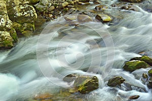 Little River, Great Smoky Mountains