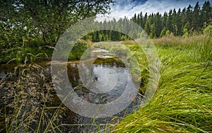 Little river, national park Sumava