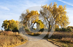 Little Road on the Colorado Prairie