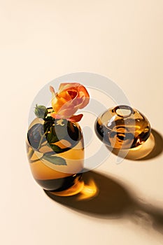 Little rose in glass vase with water on beige background with hard long shadows