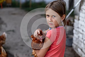 Little rural girl with chicken in her arms