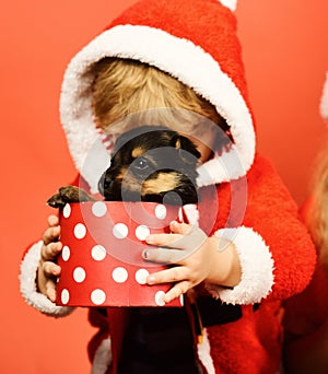 Little Santa holds little dog in spotted box.