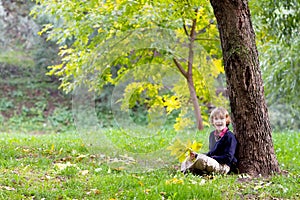 Little school boy under colorful autumn tree
