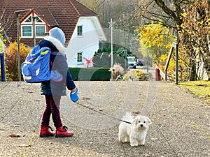 Little school girl playing with little maltese puppy outdoors after school. Happy child and family dog having fun