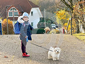 Little school girl playing with little maltese puppy outdoors after school. Happy child and family dog having fun