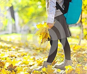 Little schooler girl in the autumn park