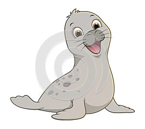 Little Seal Cartoon Animal Illustration