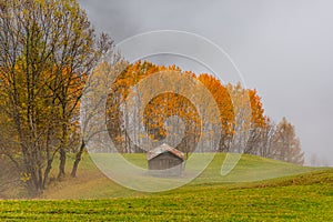 Poco villetta linea da alberi autunno 