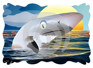 Little Shark Swimming in Ocean at Sunrise with Clipping Path on White Background