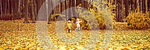 Little sibling kids girl and boy walk in the autumn park and study the environment nature. exploring the world. behind and rear vi