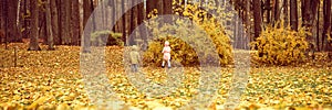 little sibling kids girl and boy walk in the autumn park and study the environment nature. exploring the world. behind and rear vi