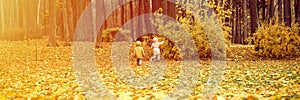 Little sibling kids girl and boy walk in the autumn park and study the environment nature. exploring the world. behind and rear vi