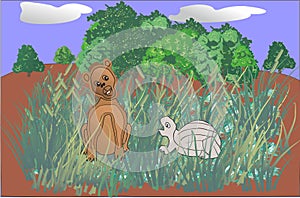 Little simba and Tortoise cartoon illustration