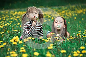 Little sisters blowing dandelion seeds away in the green meadow.