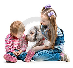 Little sisters with the dog Yorkshire Terrier