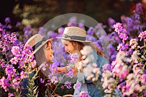 Little sisters outdoor portrait in a pink meadow