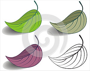 Leaf set