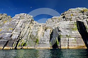 Little Skellig Island, home to many various seabirds and the second largest gannets colony in the world, County Kerry, Ireland.