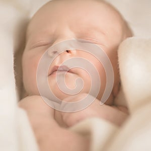 Little sleeping newborn baby in wrap creamblanket. Square crop. Banner with copy space for your text. Maternity, family, birth