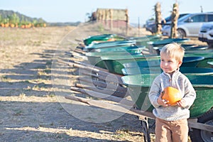 Little boy holding pumpkin near wheelbarrows at farm field patch