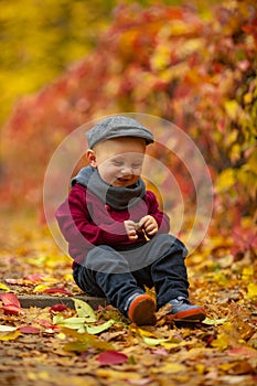 Little smiling child boy sits in park and holds yellow leaf in h