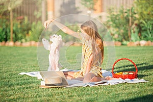 Little smiling girl playing with puppy in the park