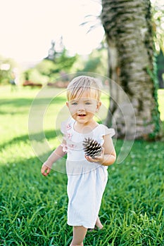 Little smiling girl stands on a green lawn with a big fir cone in her hands