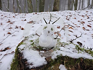 Little snowman in a forest