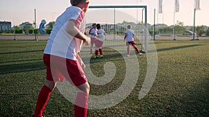 Little soccer player is scoring goal