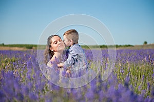 Little son kissing his mother among flowering lavender field