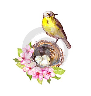 Little song bird on nest with eggs in cherry blossom. Garden apple, sakura flowers. Floral vintage watercolor