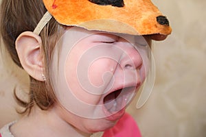 The little squirrel weeps