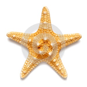 Little starfish yellow color isolated on white background.